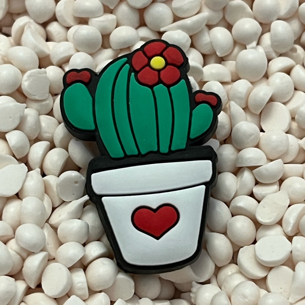 Floral Cactus 🌵 Shoe Charm